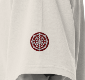 WHAT YOU SEE IS WHAT YOU GET, T-shirt sbiadita oversize con embroidery frontale e laterale